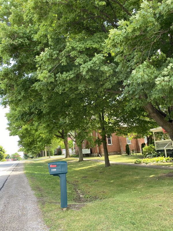 Dryden - July 11 2021 Photo (newer photo)